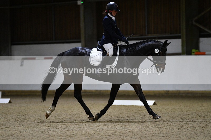 WJ5_8851 - Class 5 Novice Test 3