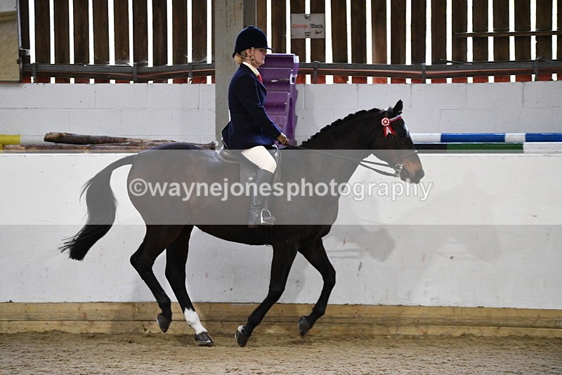 WJ5_7867 - Class 13 Ridden Part Breed