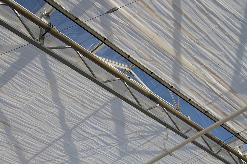 IMG_4544 - Manmade lines