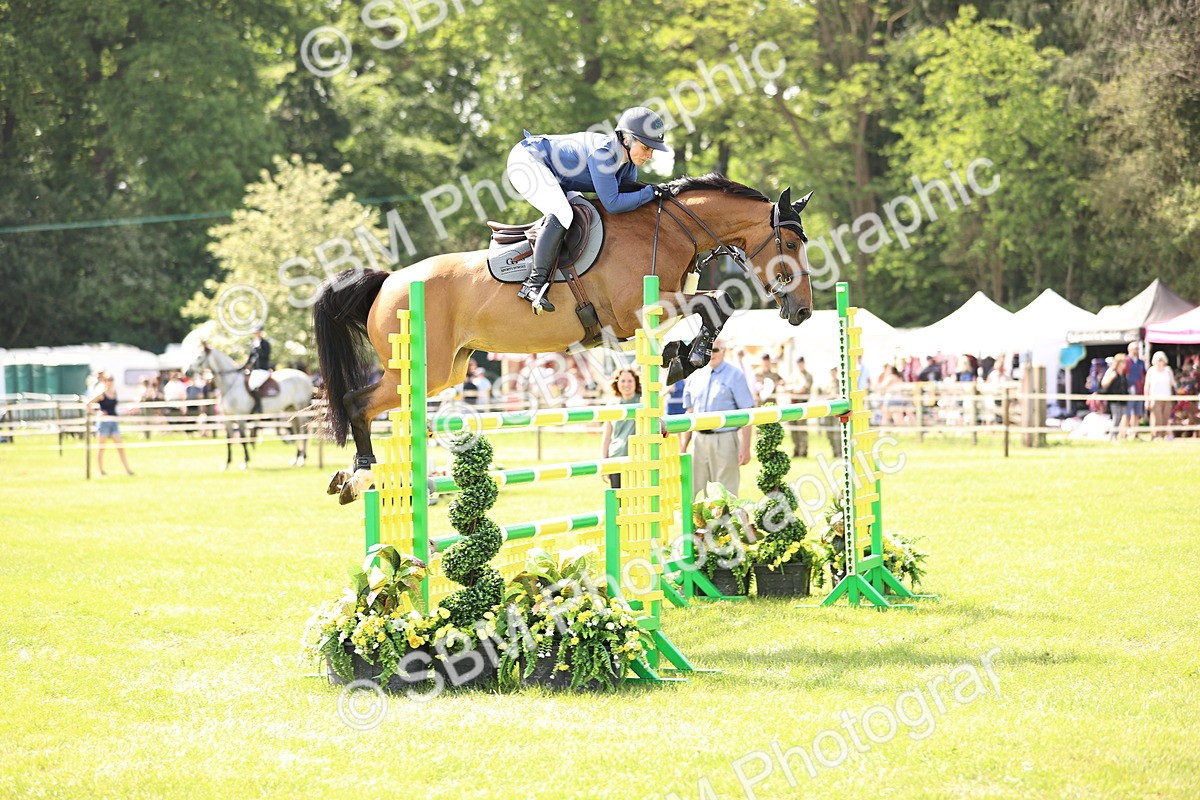 SBM_03039 - Class 201 - British Horse Feedds Speedi Beet HOYS Grade C