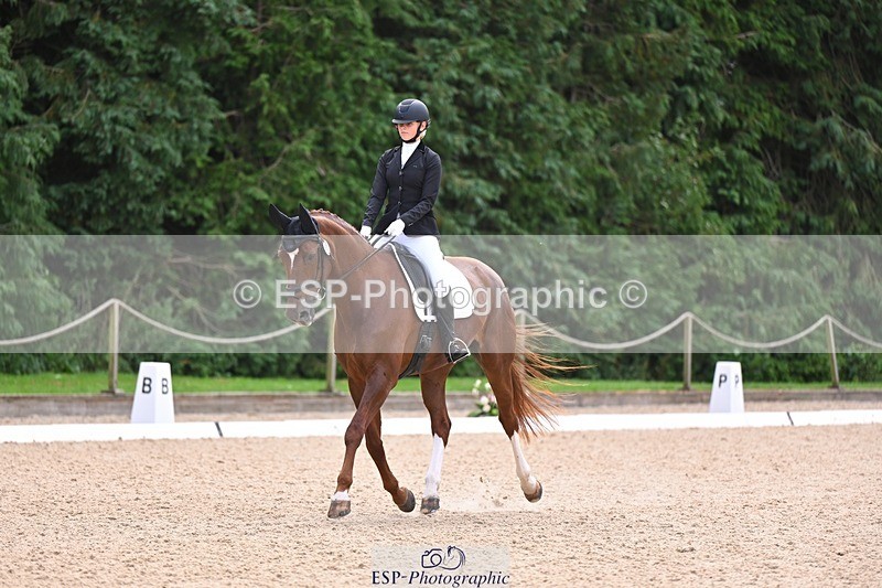 240809-121601-00713 - 185-Daisy.Hedges-Felicia.v