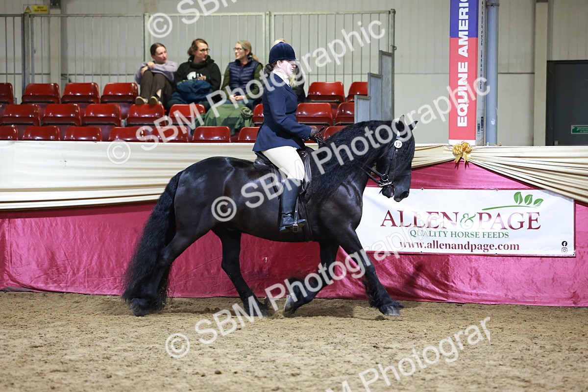 SBM_20897 - Class M - Equitation Champ