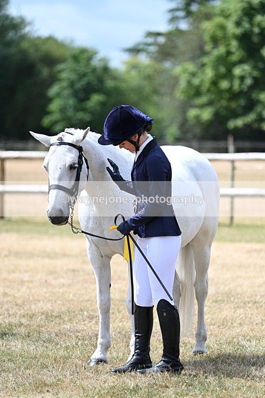 WJ7_1750 - Class 4 Prettiest Mare up to 14.2hh in hand
