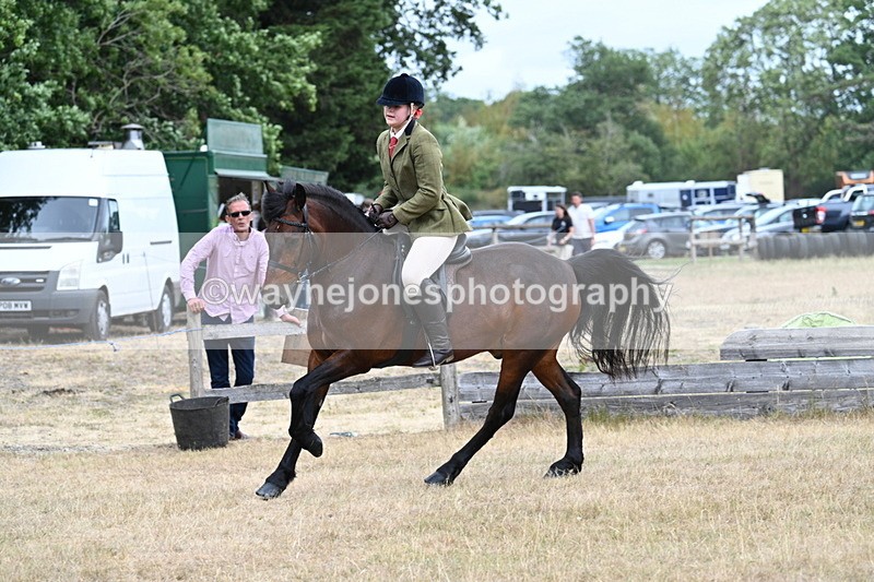 WJ7_0642 - Class 6 Ridden Mountain and Moorland