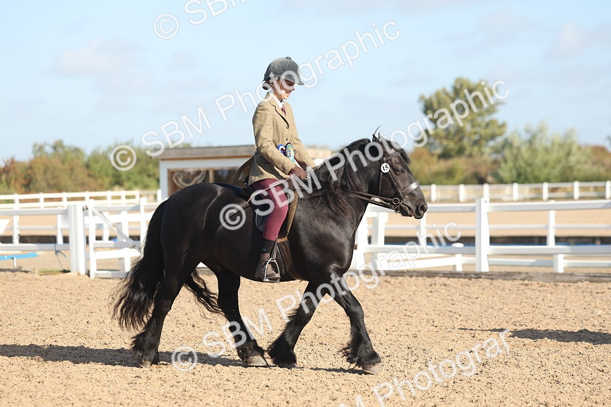 SBM_22264 - Class 802 - Ridden Groom Helpers Class