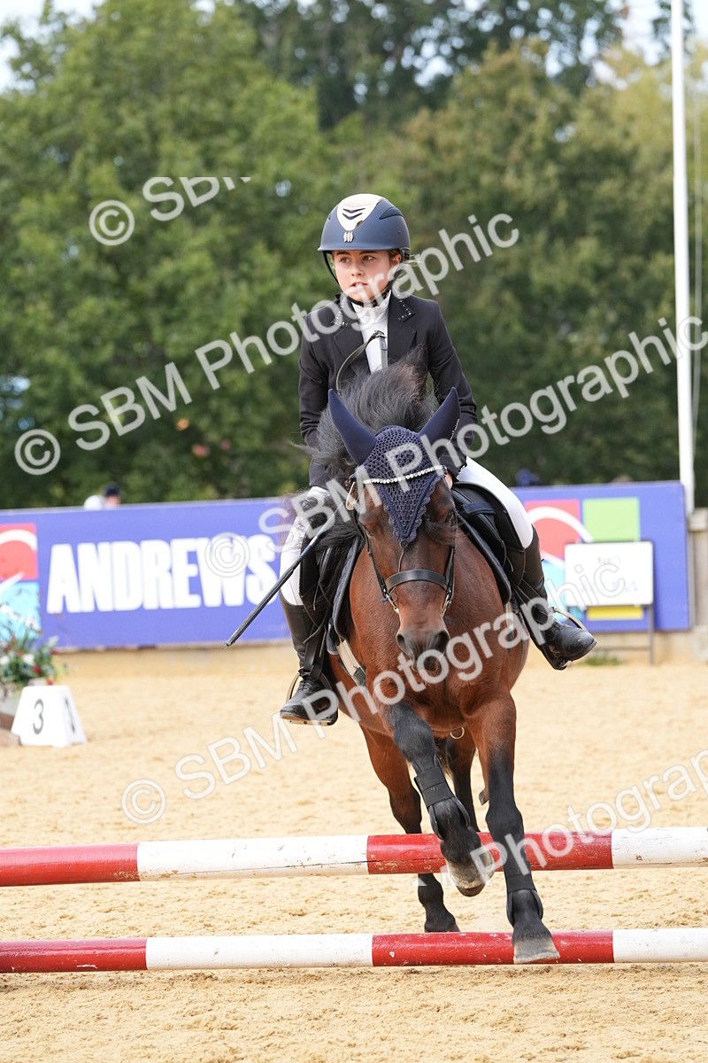 SBM_70593 - J3 - Mini Tour Junior Pony 40cm Championship
