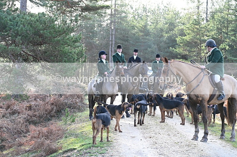 WJ7_7544 - Line 3 (no line 4 or 5)