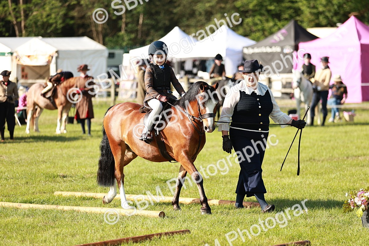 SBM_11141 - Class 106-107 - BSPS LIHS Working Sports Pony