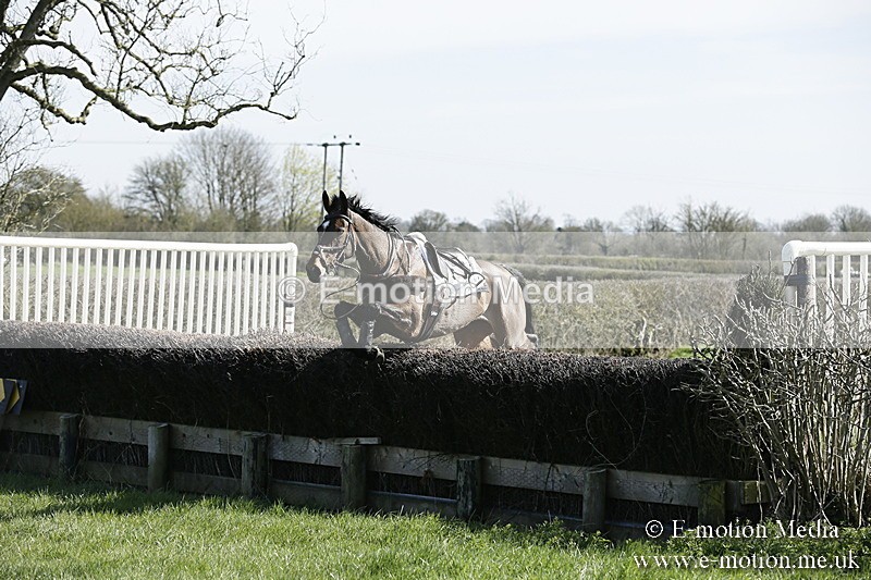 PtP 250317 49 - V.W.H. Hunt Point-to-Point Siddington 25/03/17