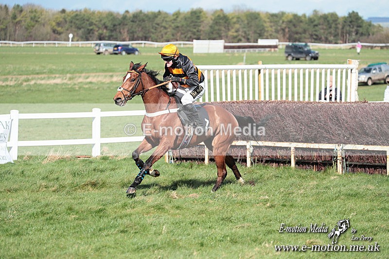 PtP 230324 555 - Tedworth Hunt PtP Larkhill Raccourse 23rd March 2024