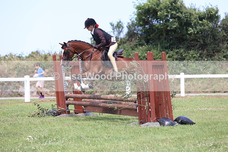 JPP_2648 - Class 21: Working Hunter 60cm