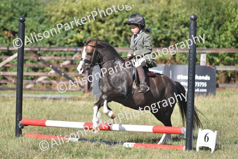 20260906-1000 - Class 7 - Absolute Novice Jumping 35cm