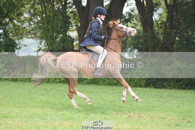 230618-092246-08911 - Cls 27 Cats & Pipes 128cm & 138cm