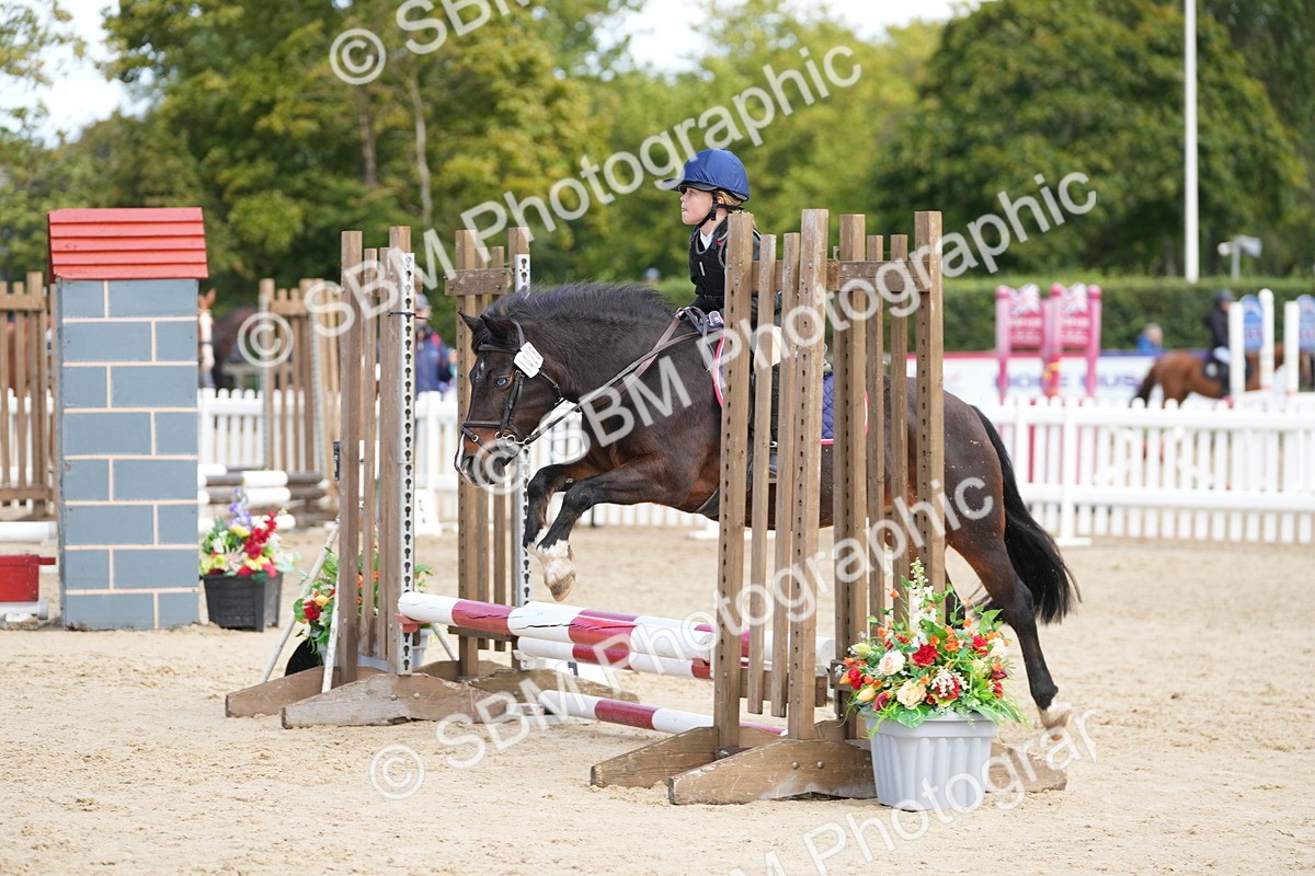 SBM_21325