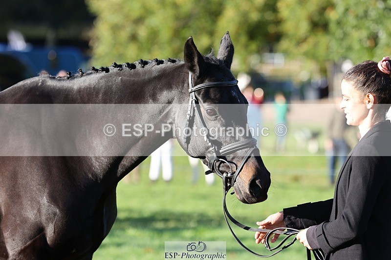 241027-085527-14898 - 463-Ilaria.Serra-FOXBURY.STORMBORN