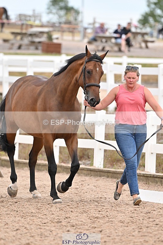 250716-160950-02469 - Trot Up 3.30 to 4.30