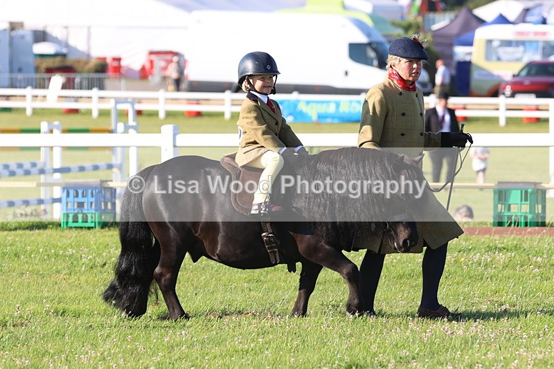 JPP_0663 - Class 16: Cornish Combination Leading Rein