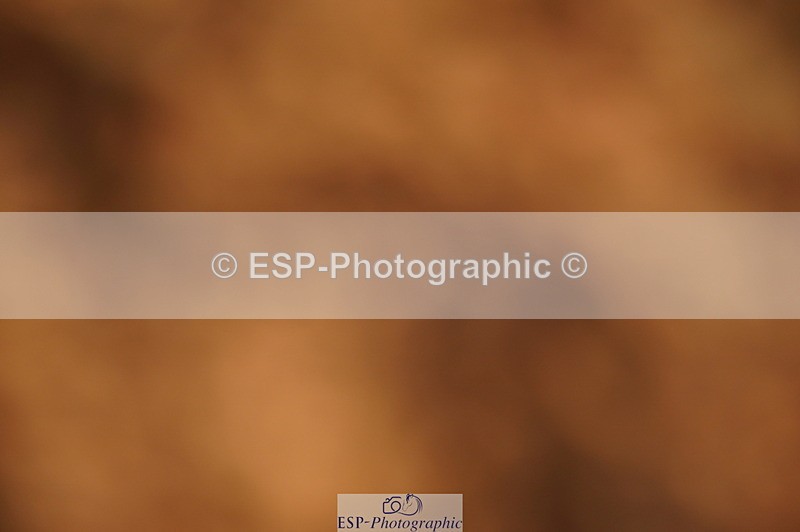 240628A-193240-01035 - Cls 4 1.10m Open