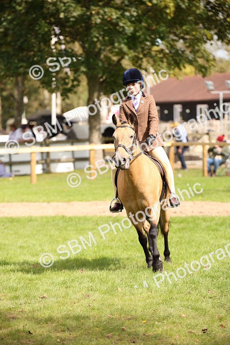SBM_42337 - S13 - Pony Club Pony