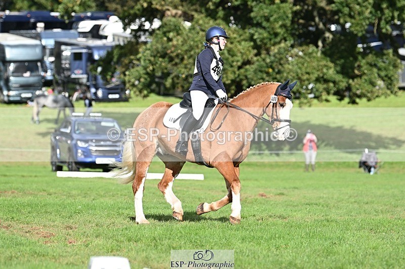 231020-143831-10697 - 499-GORFELYN.PETER.THE.GREAT-Charlotte.Bellamy-DR