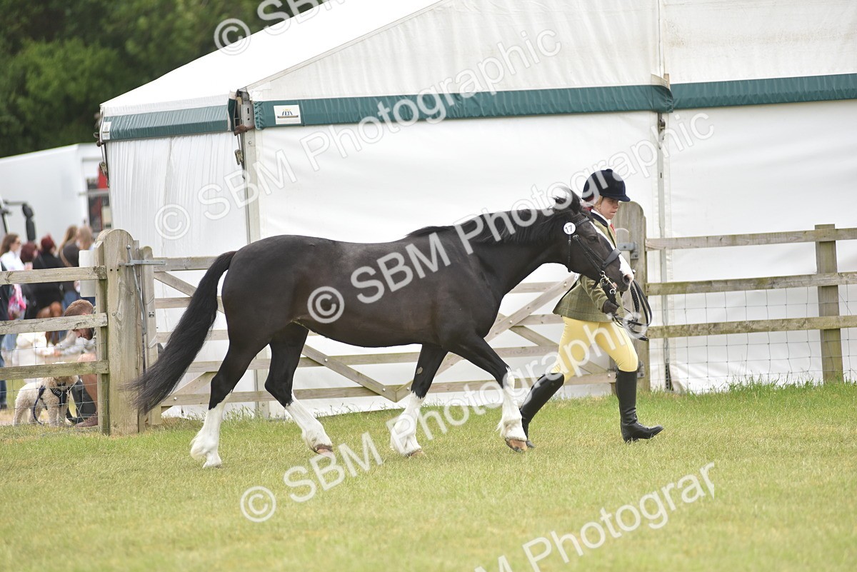 SBM_16021 - Class 117-122 - SSADL RIHS Qualifier