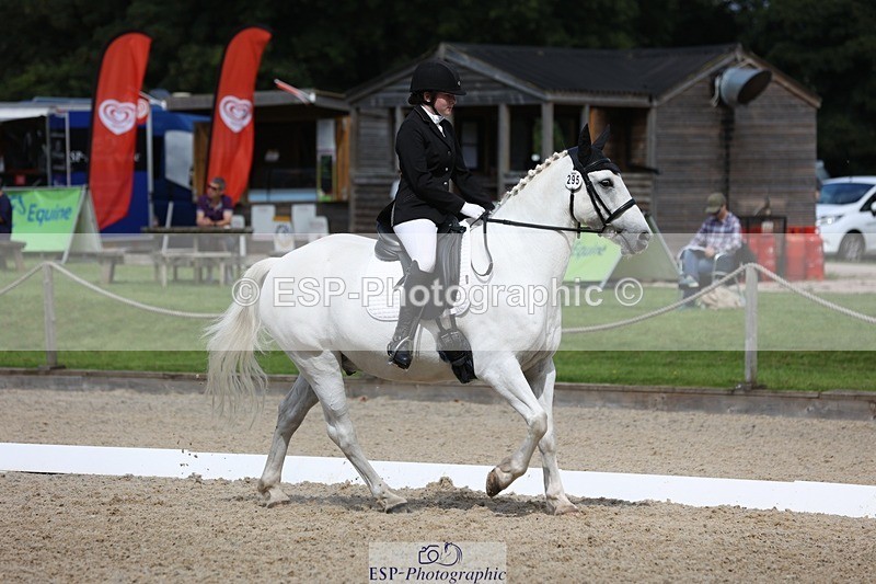 230812-113349-03799 - Cls 5 Novice Bronze 11.15 to 12.50 break