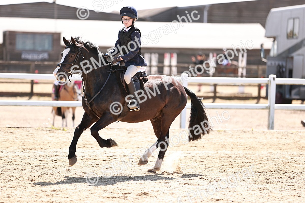 SBM_006972 - Class 2 - 50cm