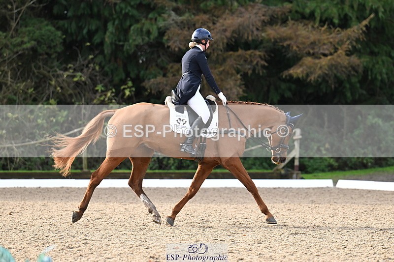 251023A-101857-01493 - B-128-Holly.Law