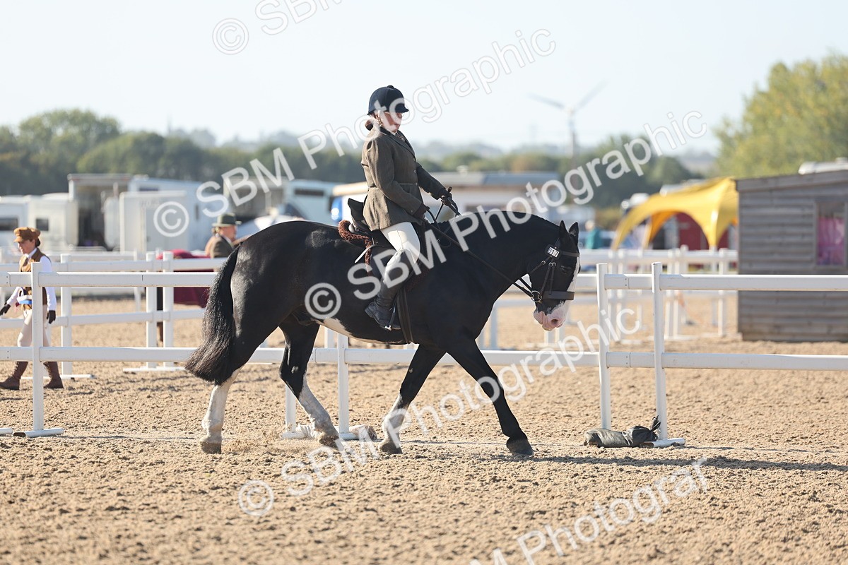 SBM_22183 - Class 802 - Ridden Groom Helpers Class