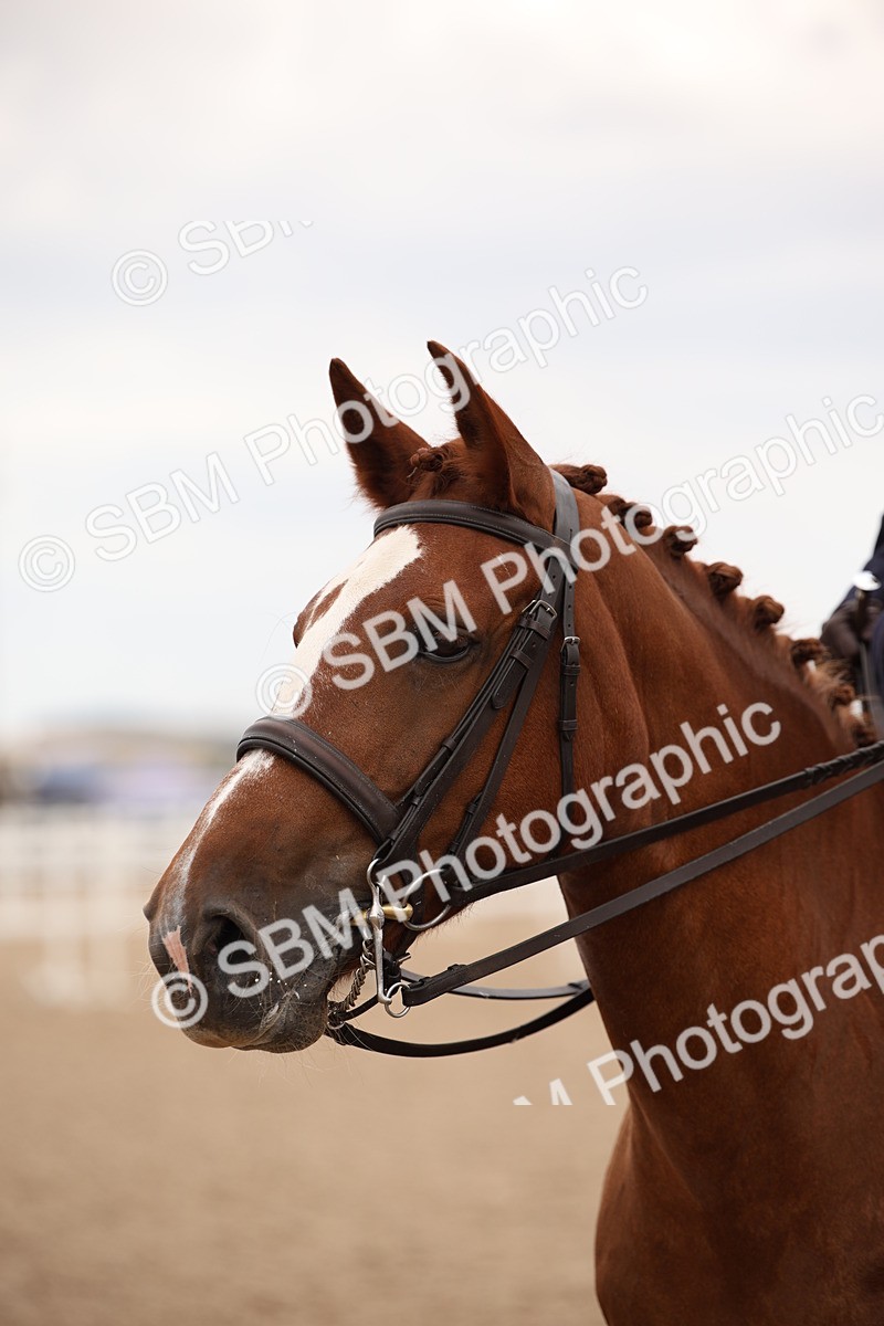 SBM_05483 - Class 22 SSA Equitation