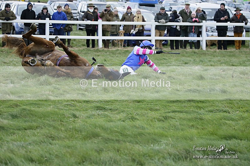 PtP 281121 0583 - Hursley Hambledon Point-to-Point Larkhill 28/11/21
