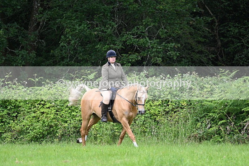 WJ7_2049 - Class 12A Coloured Class