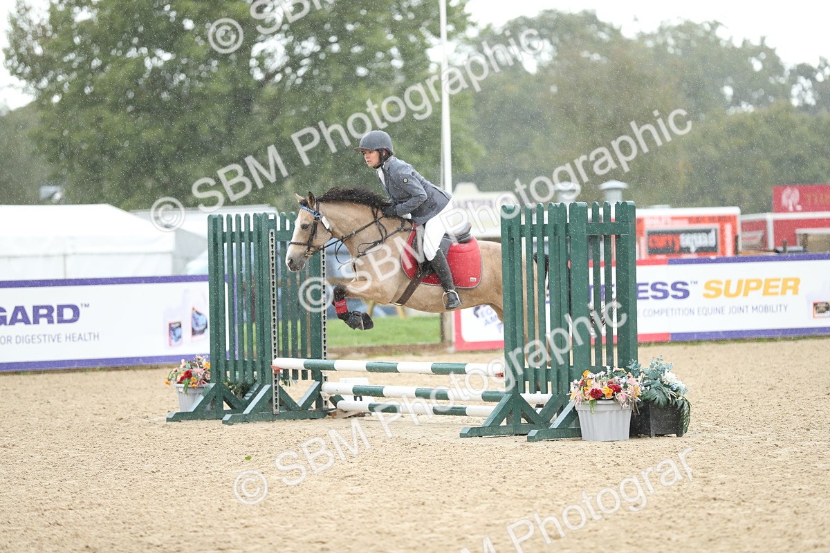 SBM_00988 - J27 - Senior Horse & Pony 50cm Championships