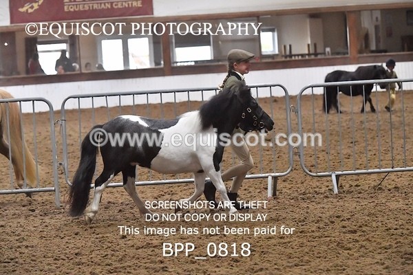 BPP_0818 - RING 2