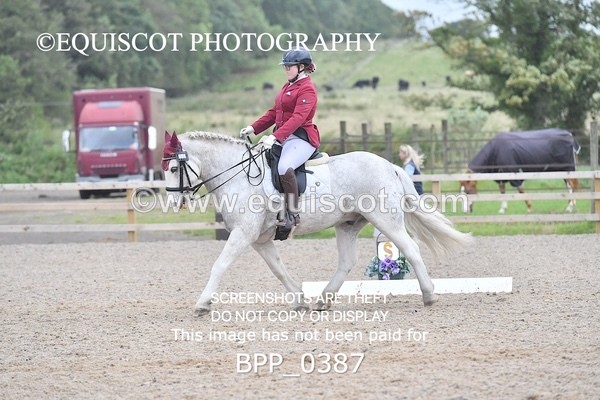 BPP_0387 - ELEM 6 & 4