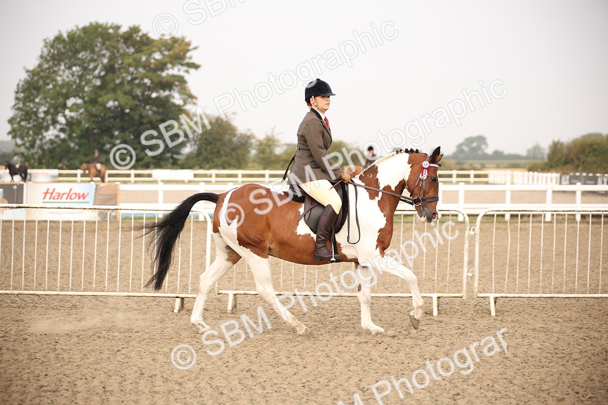 SBM_09734 - Class 401 Riding Club Pony