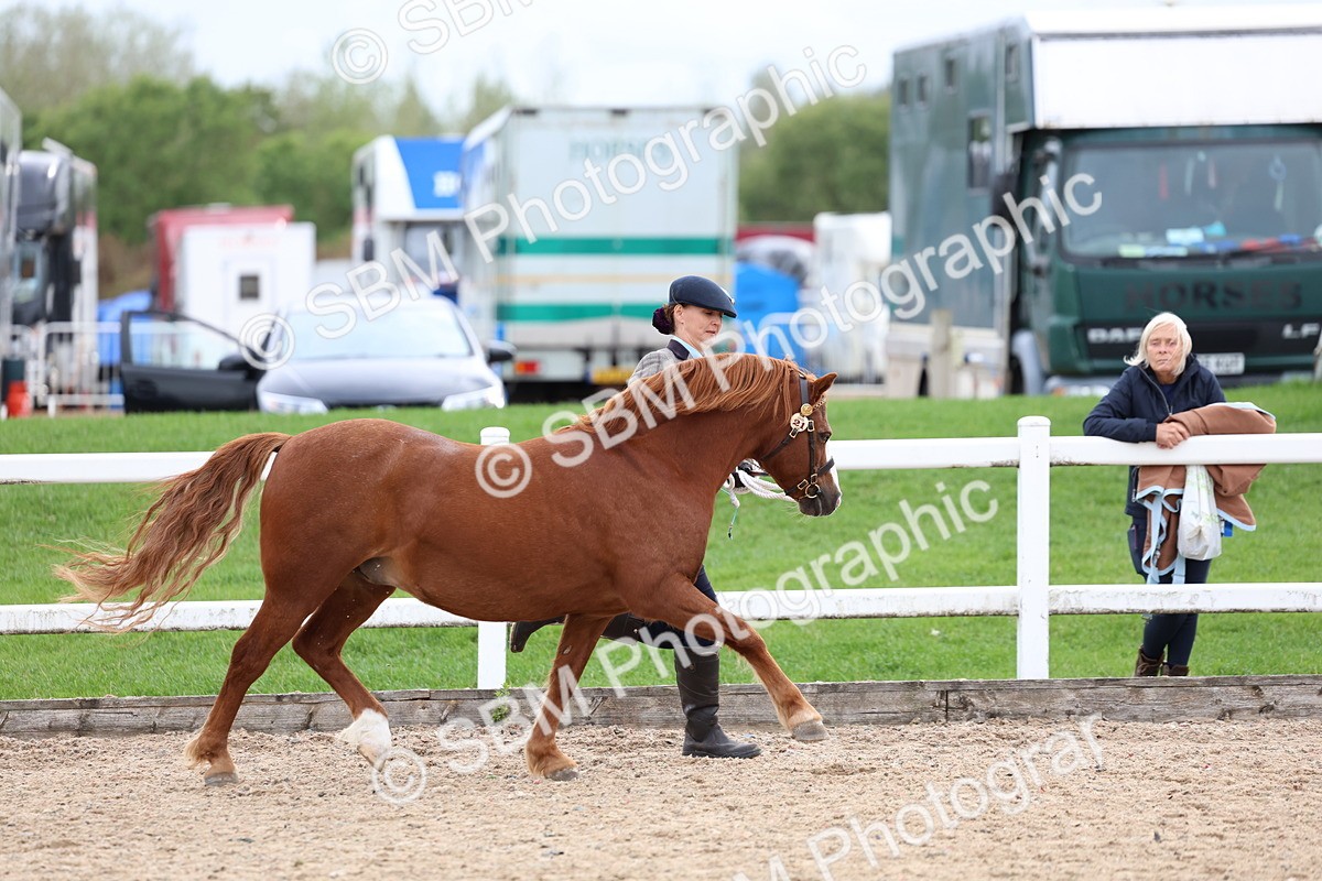 SBM_05852 - Class 29 - IH Veteran Pony