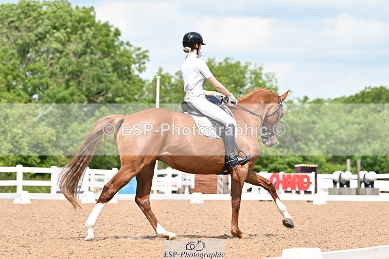 240621A-123558-02170 - Cls 7 BD Elementary 45