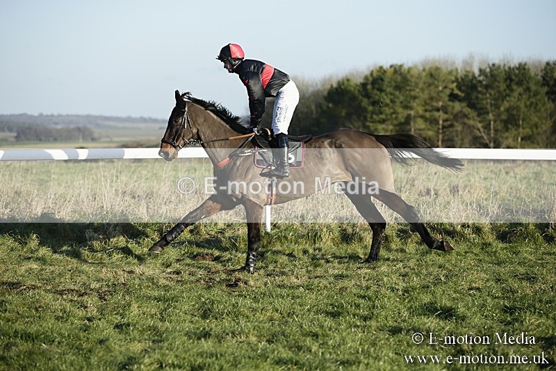 PtP 070118 -496 - Larkhill Racing Club Point to Point Larkhill 07/01/2018