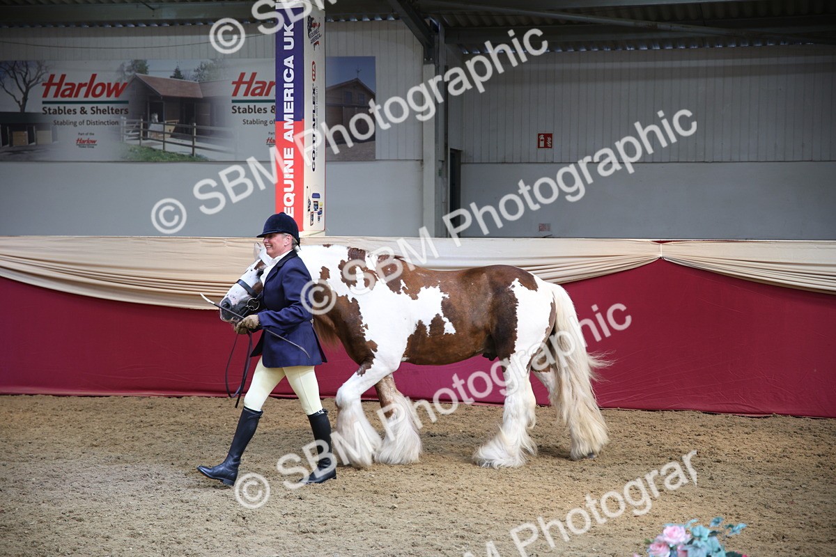 SBM_24773 - Class 906 - Supreme Final - Ridden Pre Vet