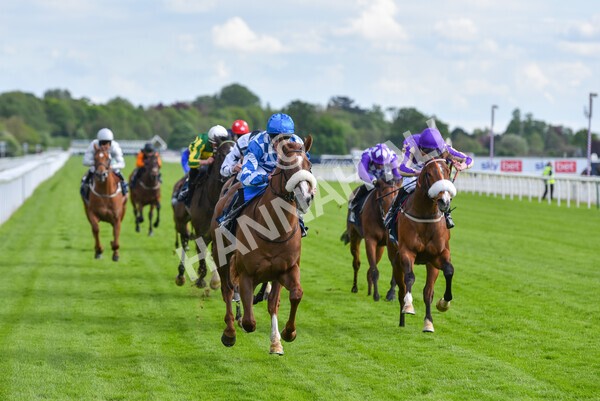 yr11052022r7-22 - Race 7 5.15pm British Stallion Studs EBF Novice Stakes