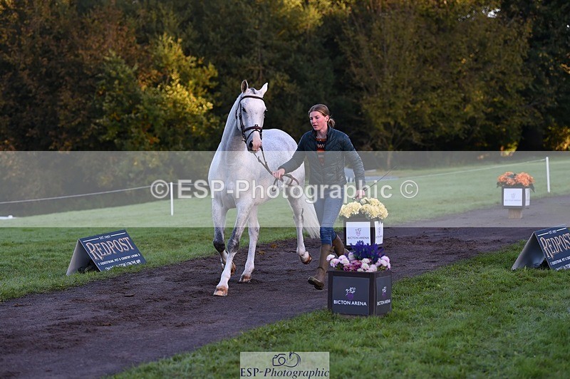 231022-084656-21353 - 631-BRIGHT.RINCO-Maisie.Morgan-TrotUp+SJ
