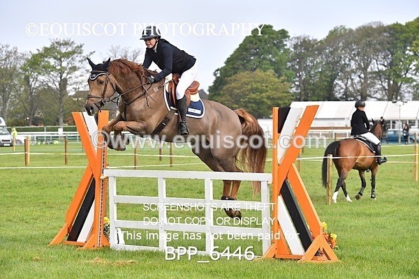 BPP_6446 - CLASS 1 Senior Newcomers/ 1.10m Open