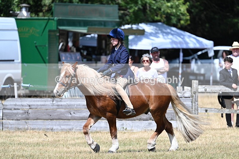 WJ7_3395 - Class 8 Ridden Veterans