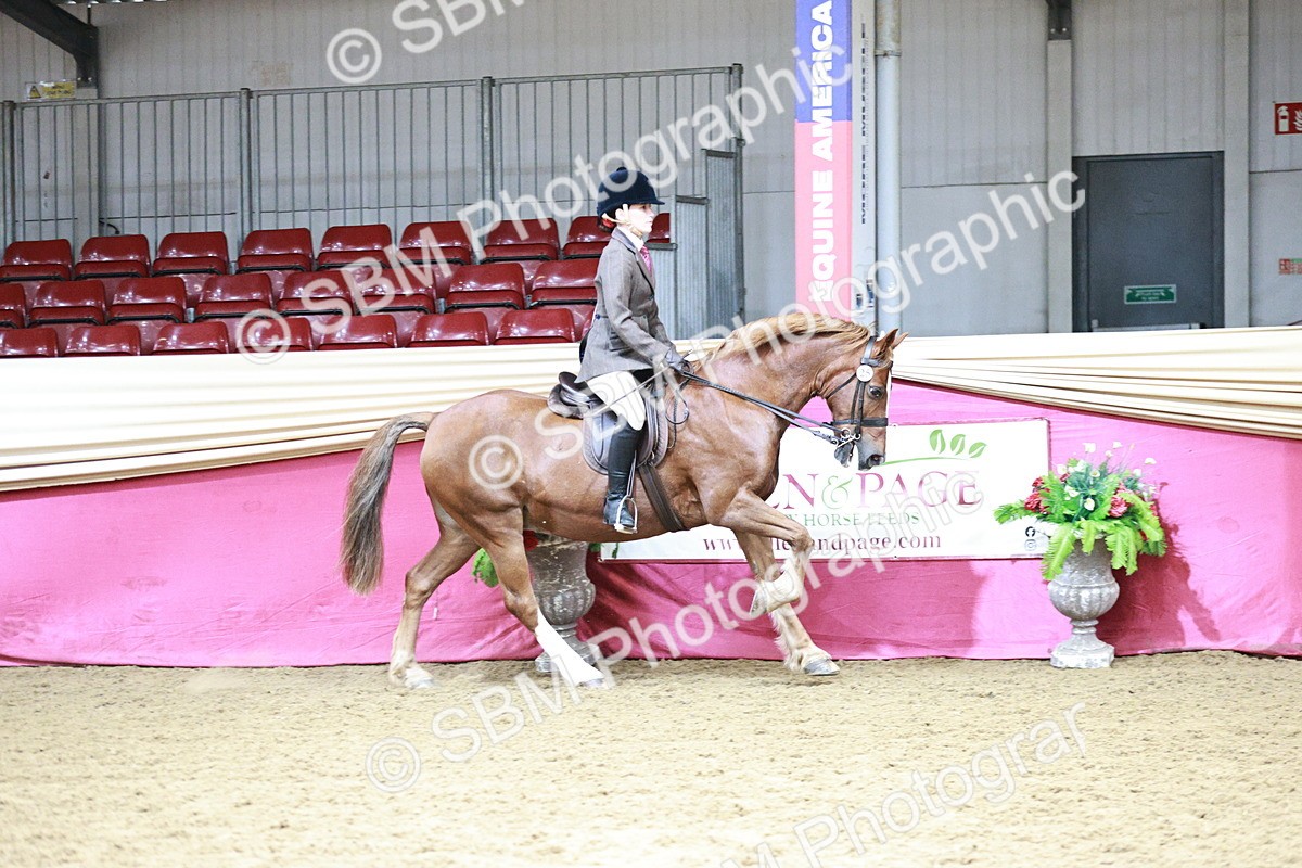 SBM_02195 - Class 4A - Area Ridden Diamond