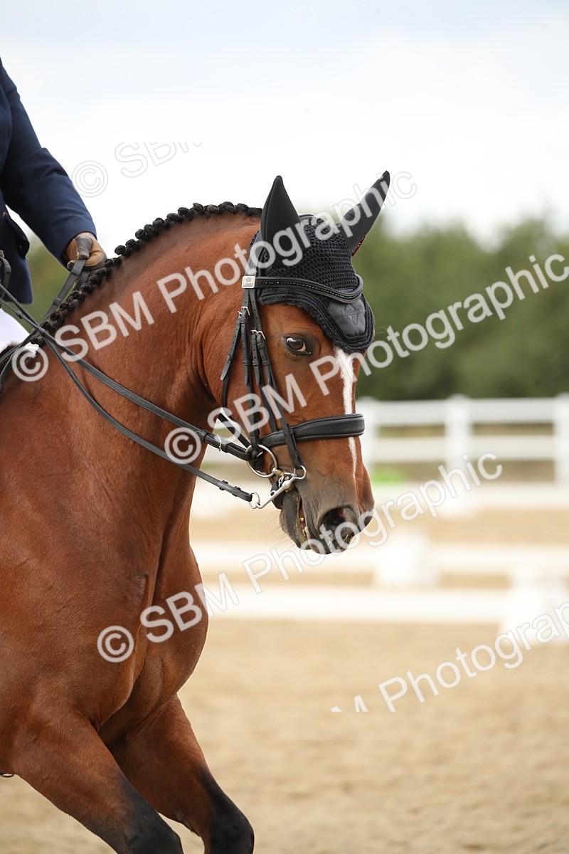 SBM_002984 - Class 6 - Elementary 5 - 14.50-15.46