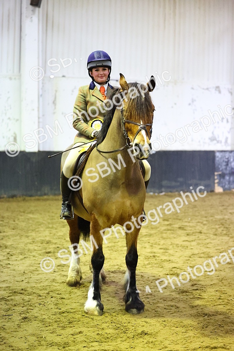 SBM_006659 - Class 43 - RIHS Qualifier Exceeding 43cms