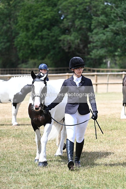 WJ7_1730 - Class 4 Prettiest Mare up to 14.2hh in hand