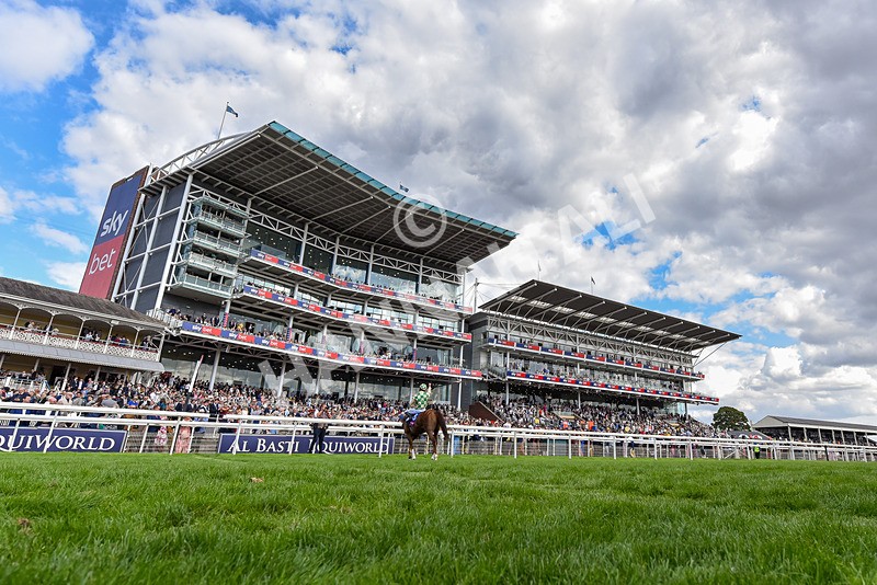 220826-Race 4-Daiquiri Bay-6125 - Race 4 15.35pm Sky Bet Ebor Handicap