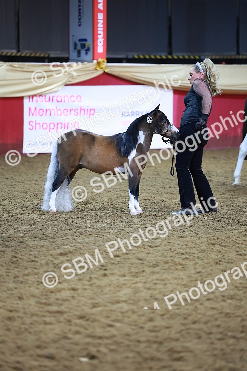 SBM_14898 - Class F - IH Small Champ